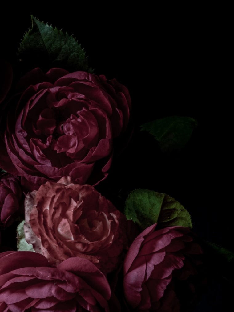 Graceful Glow Candle Co. Candle Sultry Glow