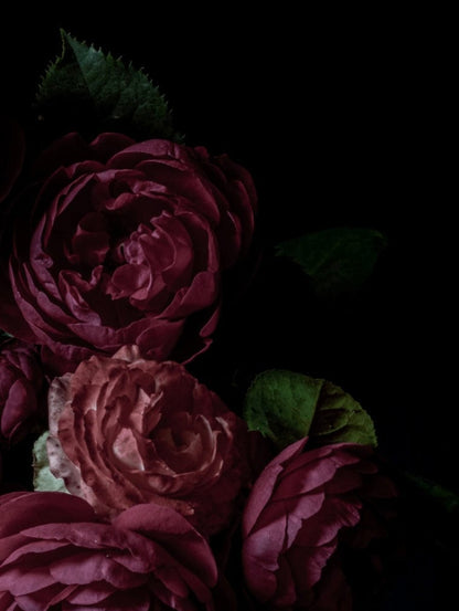 Graceful Glow Candle Co. Candle Sultry Glow